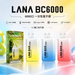 LANA 拉娜 一次性電子煙 LANA Bar BC 6000口 超涼款 可充電